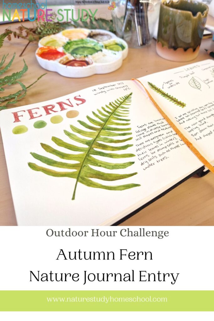 Autumn Fern Nature Journal Entry