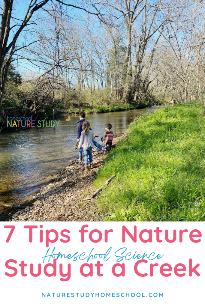 Have a fun adventure exploring a spot close to home! Here are our best tips for nature study at a creek.