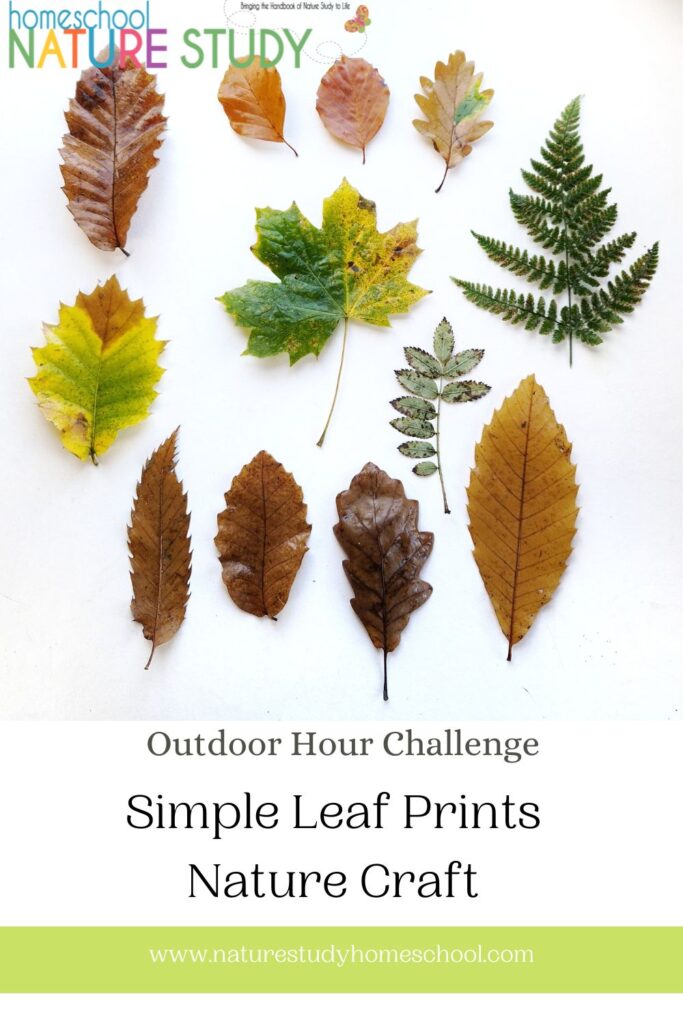 leaf prints homeschool nature study craft