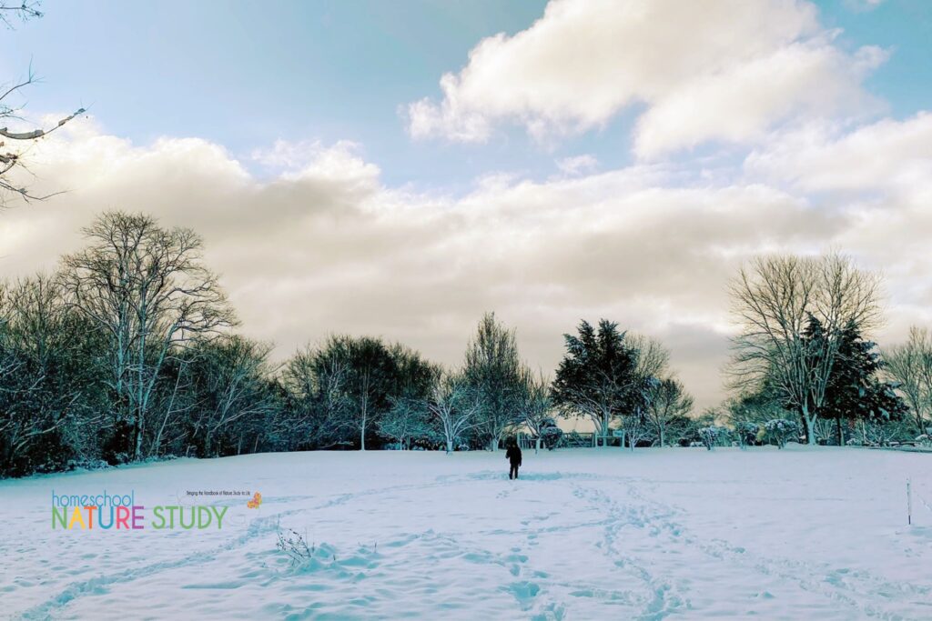 These winter nature activities are perfect for those days when you just need a break from cabin fever.