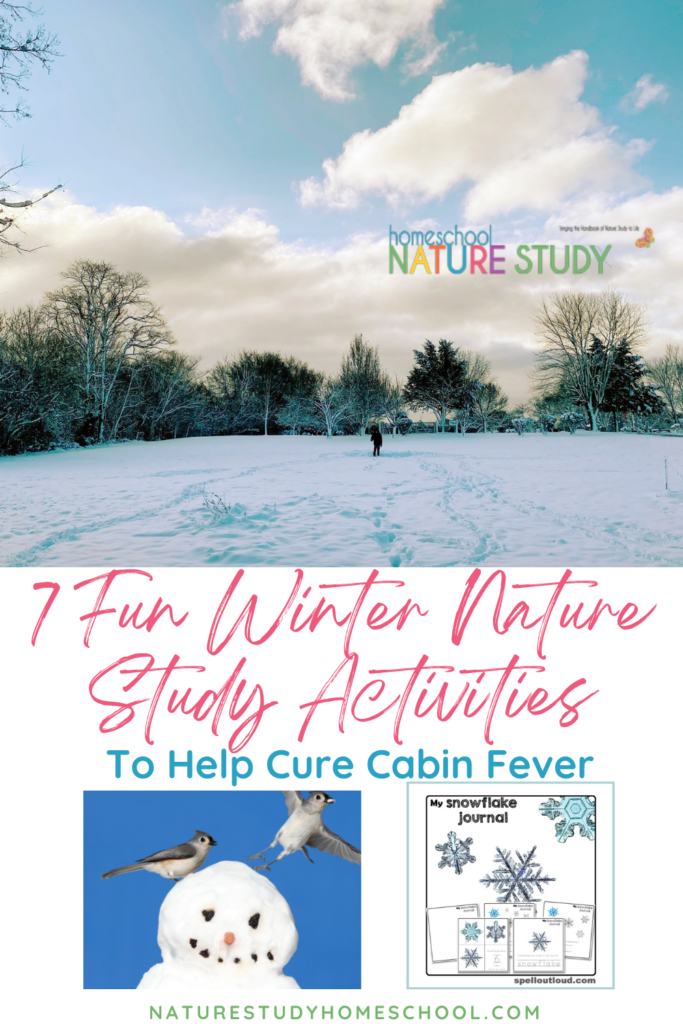 These winter nature activities are perfect for those days when you just need a break from cabin fever.