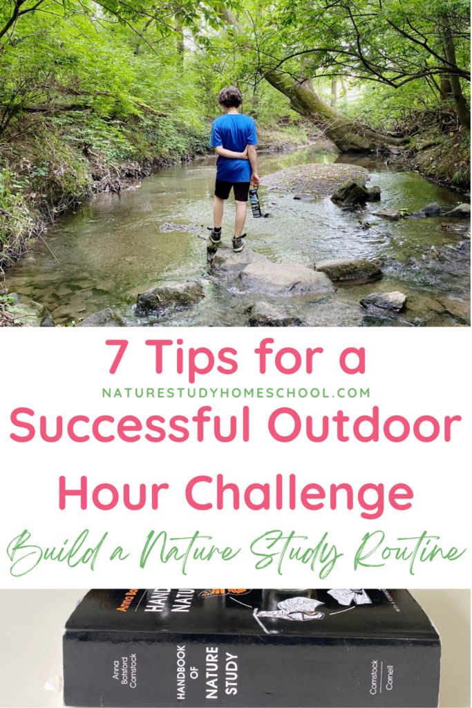 These 7 tips for a successful outdoor hour challenge will help you and your family establish an easy and fun nature study routine.