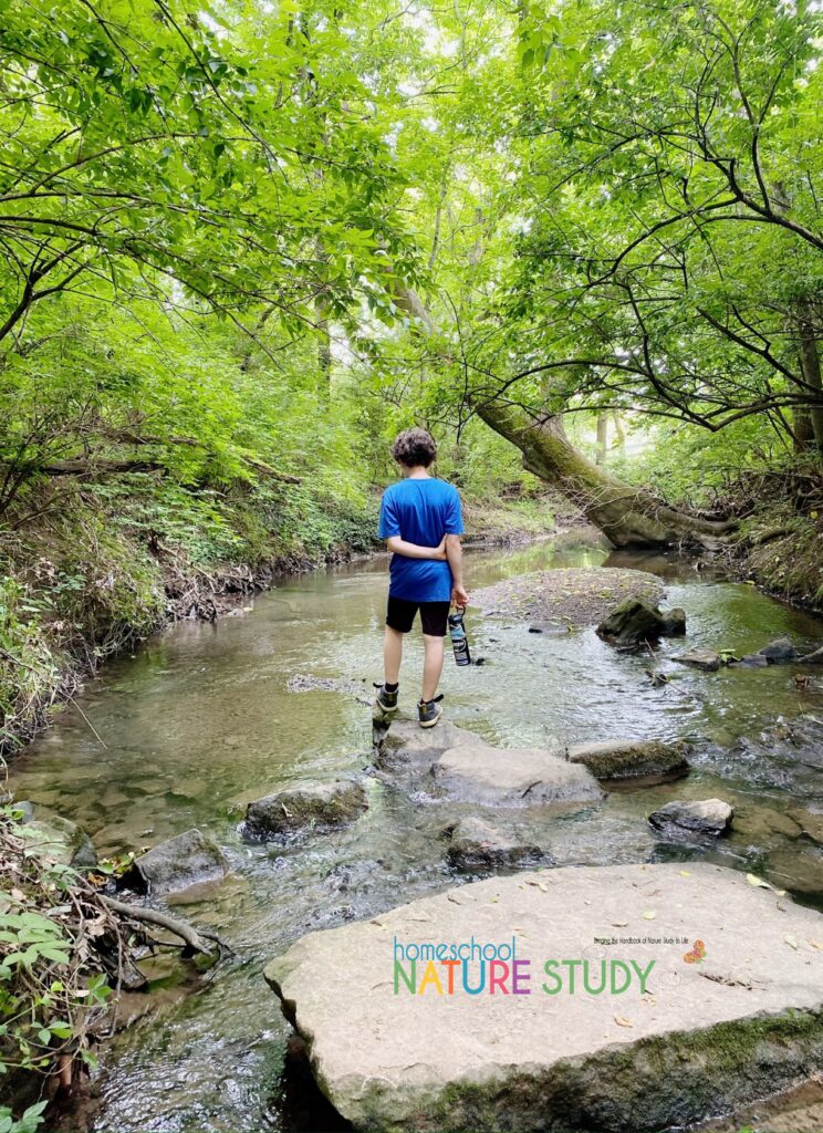 These 7 tips for a successful outdoor hour challenge will help you and your family establish an easy and fun nature study routine.