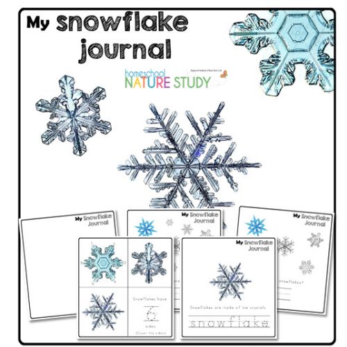 Preschool Snow Activities and Printable Nature Journal - Homeschool Nature  Study