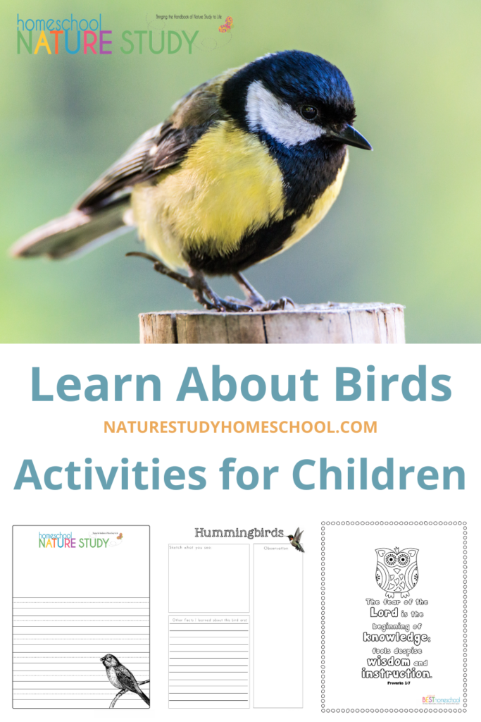 Learn about birds in your neighborhood with these 7 fun activities for young children. Bird resources for Backyard Bird Count.