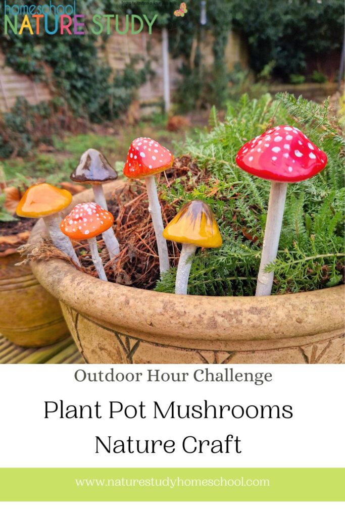plant pot mushrooms nature craft