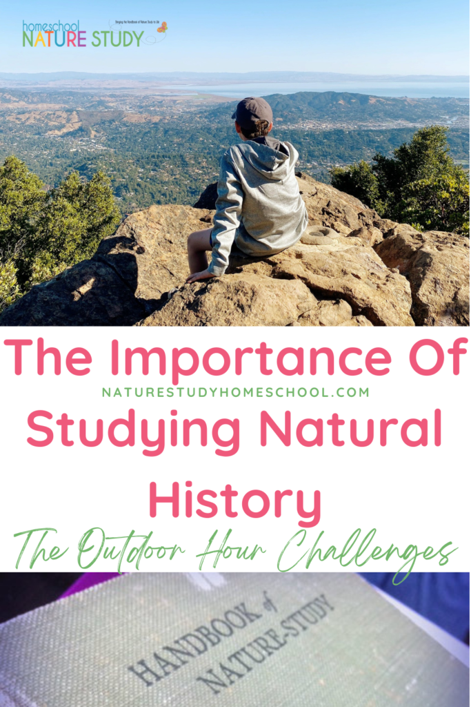 Why is the study of natural history is so important? How can you incorporate it into your day to day learning in your homeschool?