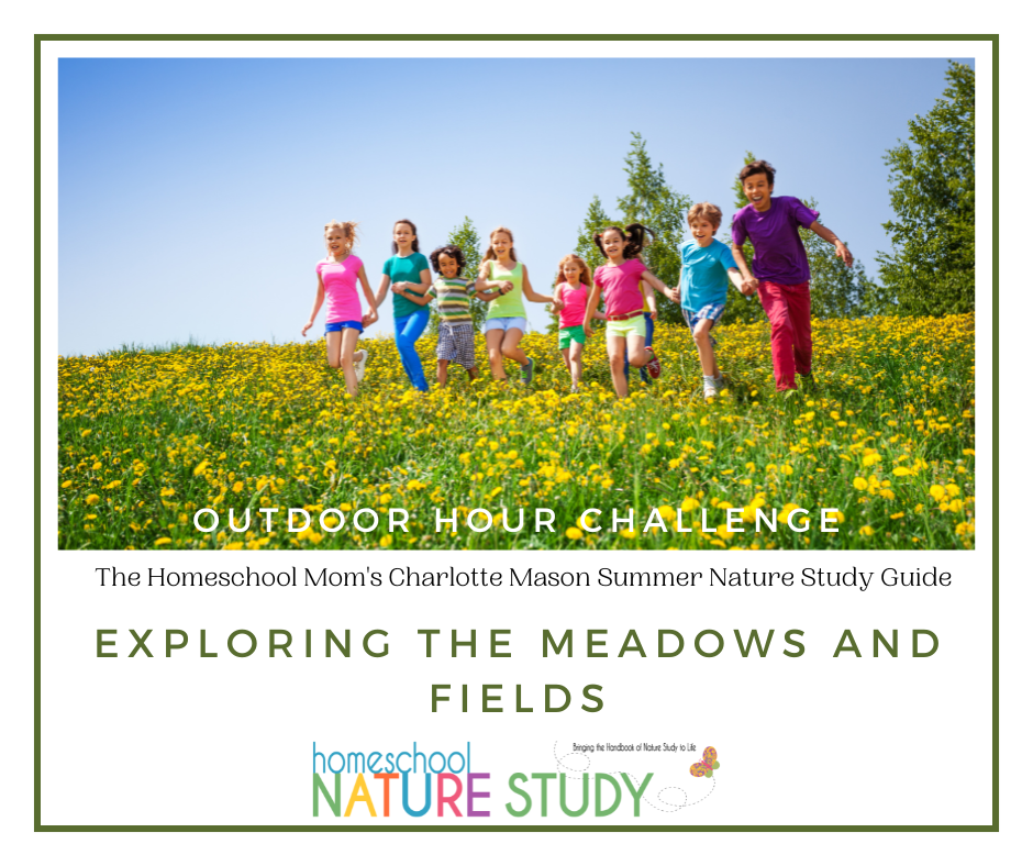 Exploring the meadows and fields Charlotte Mason nature study guide