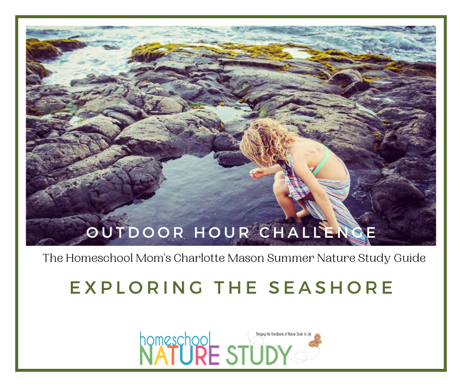 Charlotte Mason Summer Guide to Exploring the Seashore