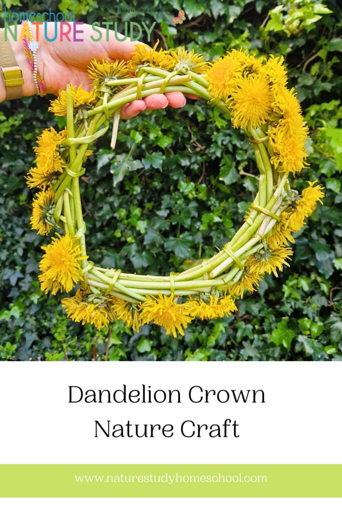 How to Make a Dandelion Crown: Nature Crafts for Kids