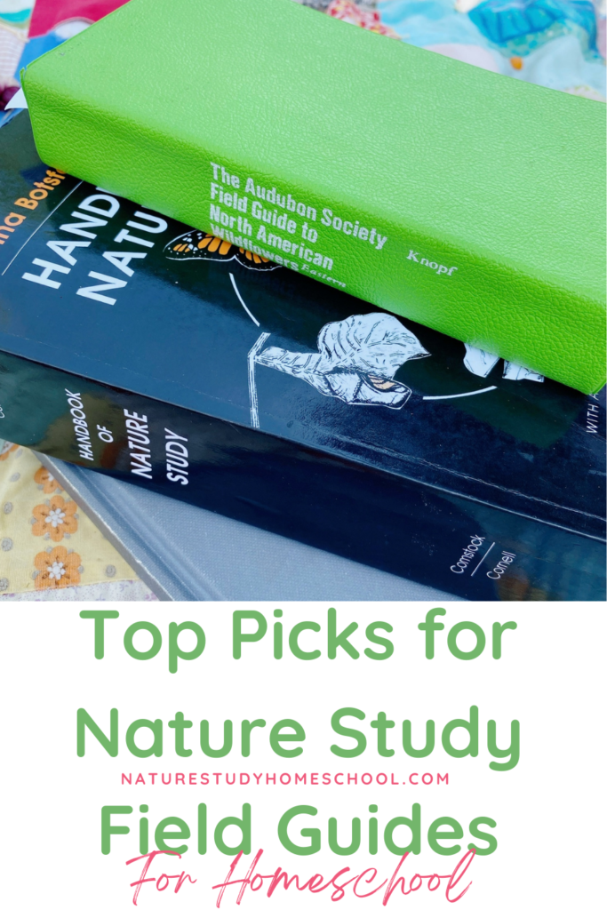 These are our carefully selected, top picks for field guides for homeschool nature study. Includes options for all ages.