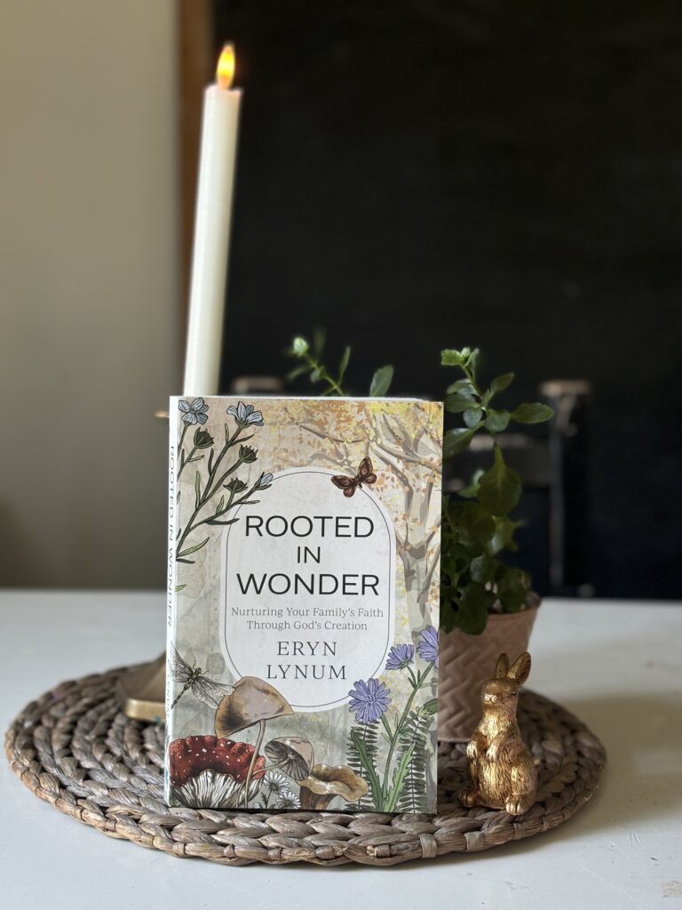 Rooted In Wonder takes a beautiful approach to family nature study. This review includes an overview of included resources and tips.