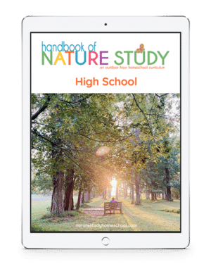 Can You Add Nature Study To Your Homeschool High School Transcript ...