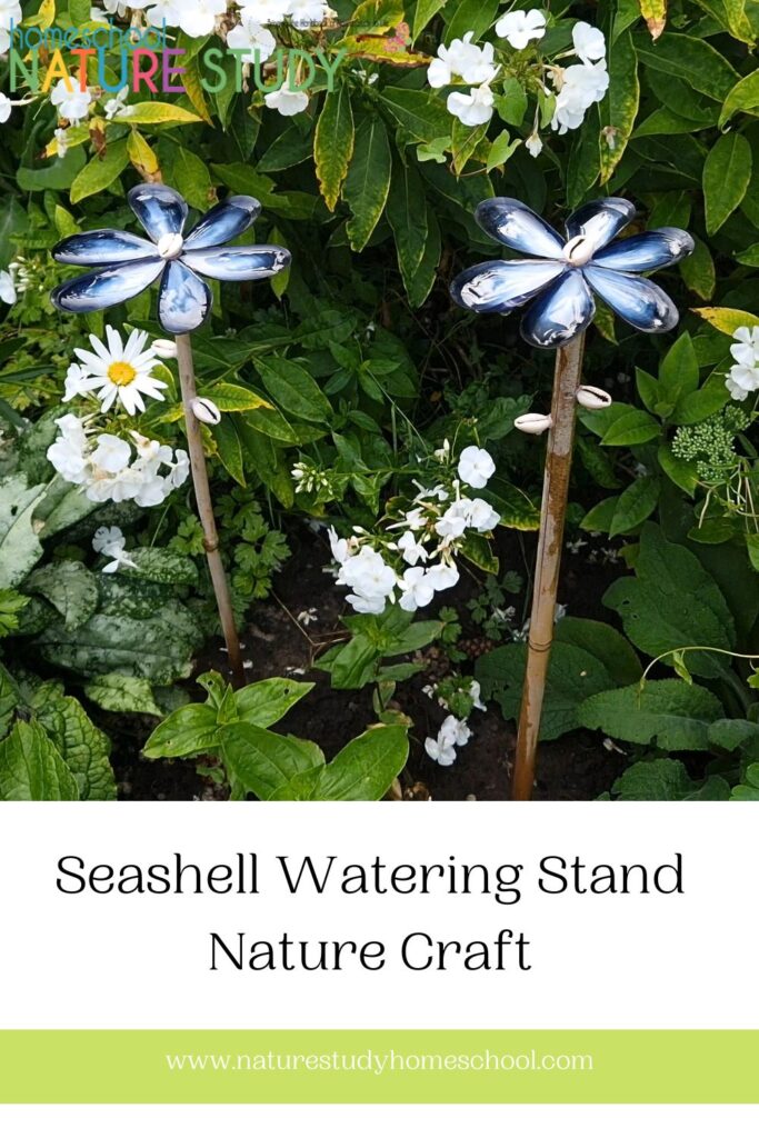 Create some seashell nature crafts with watering stands! This craft only needs a few supplies and a little supervision for the little ones but overall it is an unbelievably simple craft to make. So head down to the beach and hunt for mussels and other pretty shells and let’s get crafting!