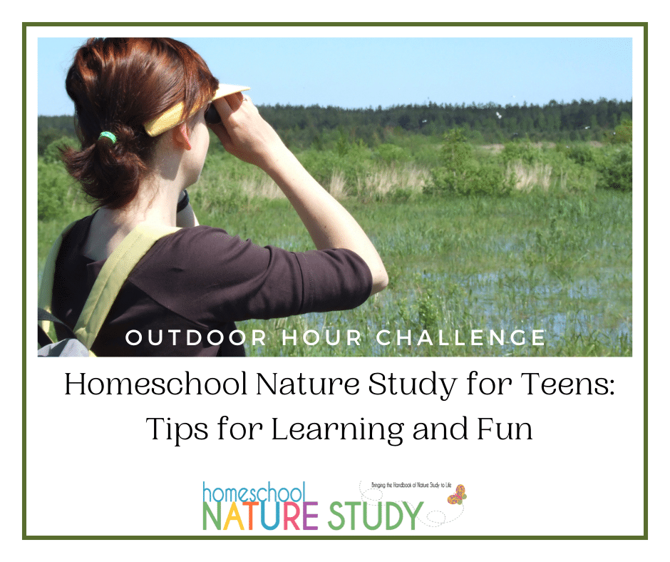 Cross-Curricular nature study projects for homeschool and how to incorporate them