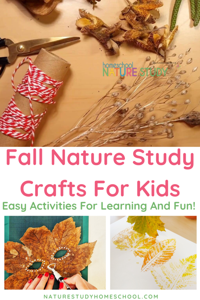 Fall Nature Study Crafts for Kids - Activities for Learning and Fun!