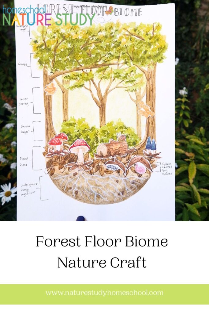 Autumn is on the horizon with the yellowing of leaves signalling chilly weather to come, so lets create this forest floor biome to celebrate. In this tutorial I will show you how to layer watercolours to create depth as well as texture using a stippling technique. So grab your paints, download the free printable I have created and let's get crafting!