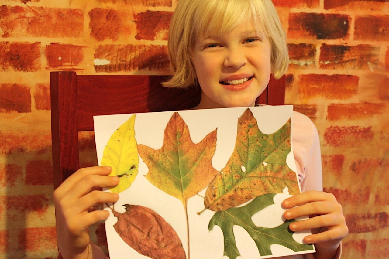 Fall Leaf Activities For Kids: Nature Study For Learning And Fun ...