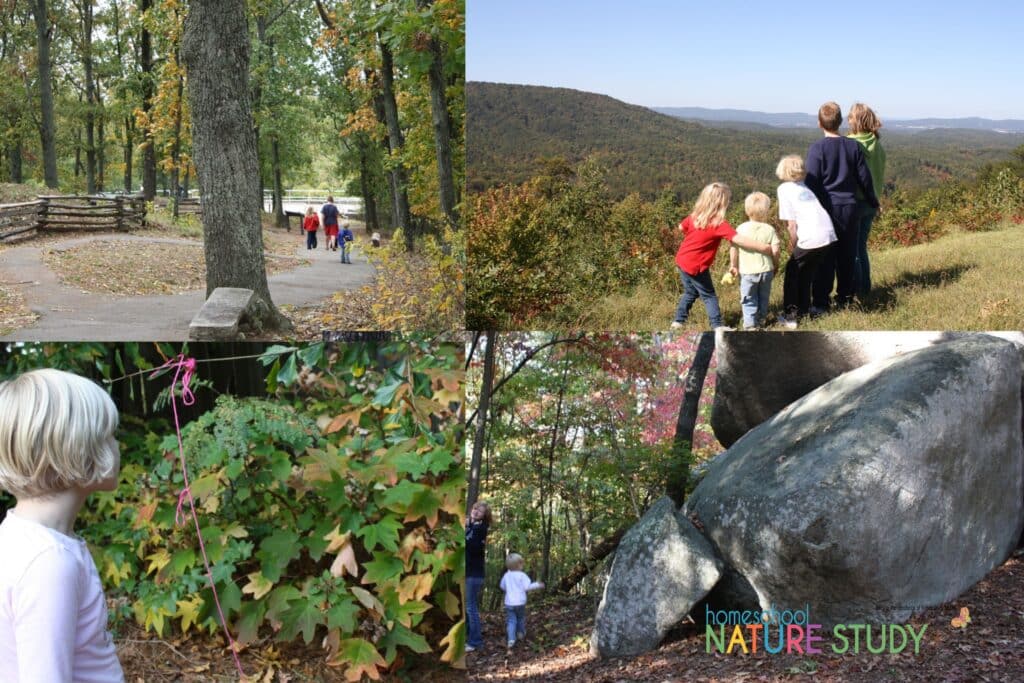 A family-style up close study of fall leaves on homeschool field trips!