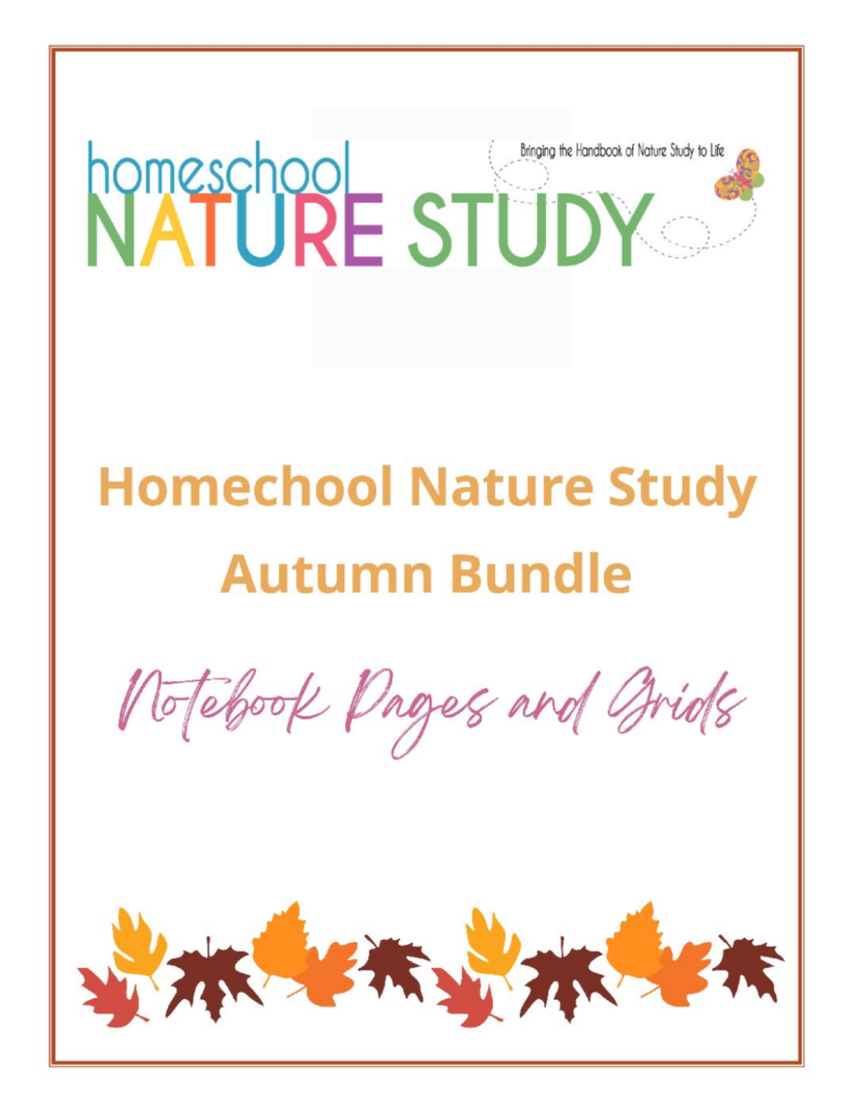 Use these resources to enjoy an autumn bird nature study. Learn more about Woodpeckers and bird feet observation worksheet.