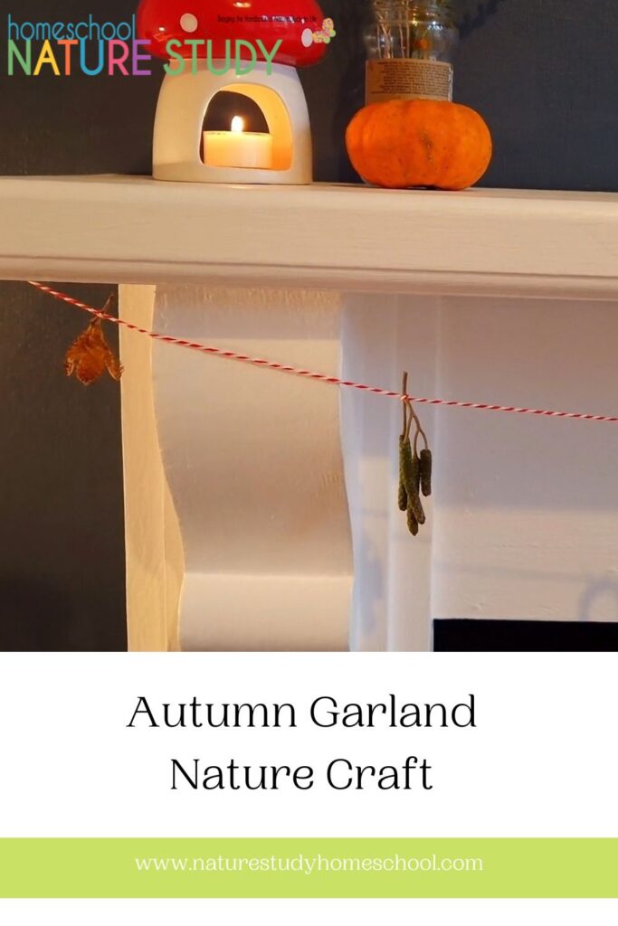 Autumn is in full swing with rusty leaves and seeds galore, so let us bring in some of the season’s beauty with this Autumn garland. 