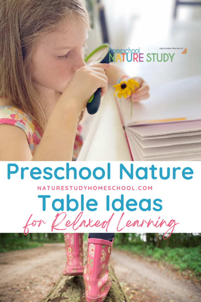 Here we have included some relaxed preschool nature study using a nature table. Find simple ideas and images to follow up your outdoor time.