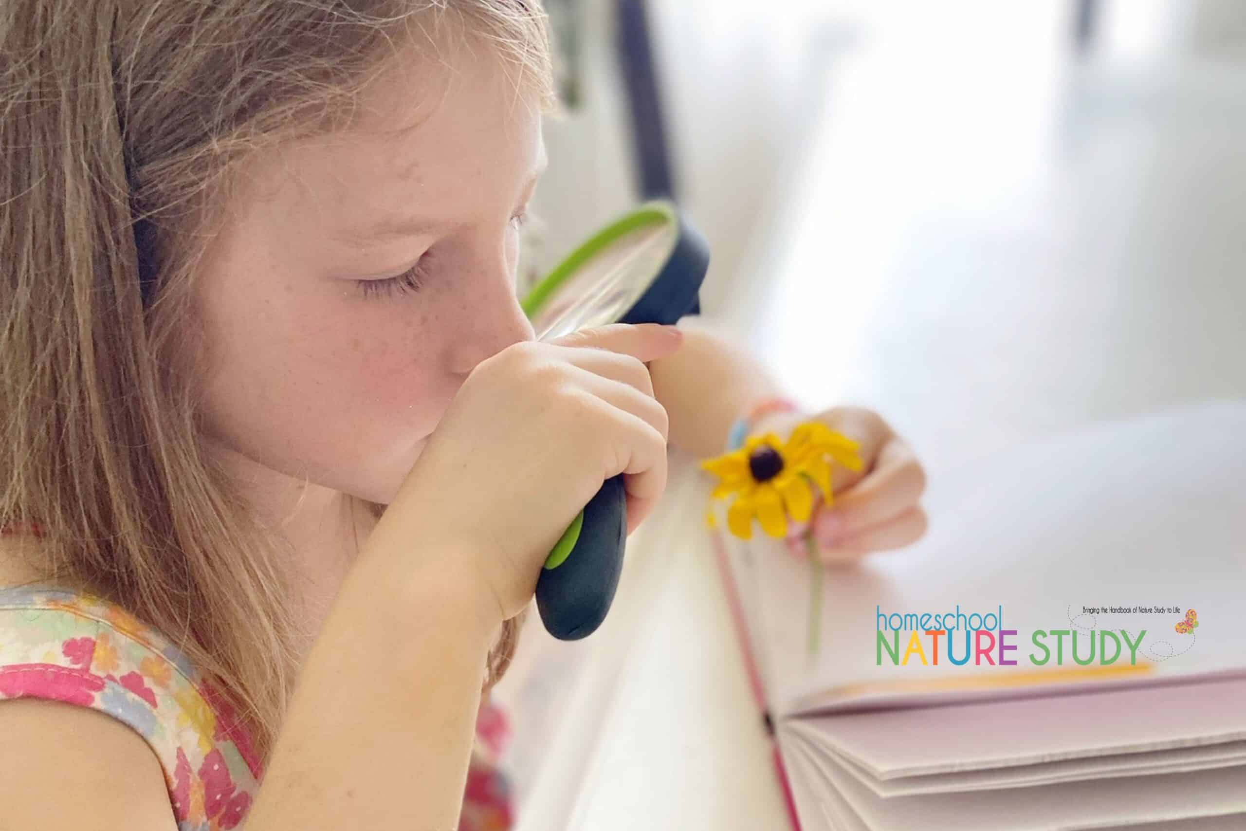 Here we have included some relaxed preschool nature study using a nature table. Find simple ideas and images to follow up your outdoor time.