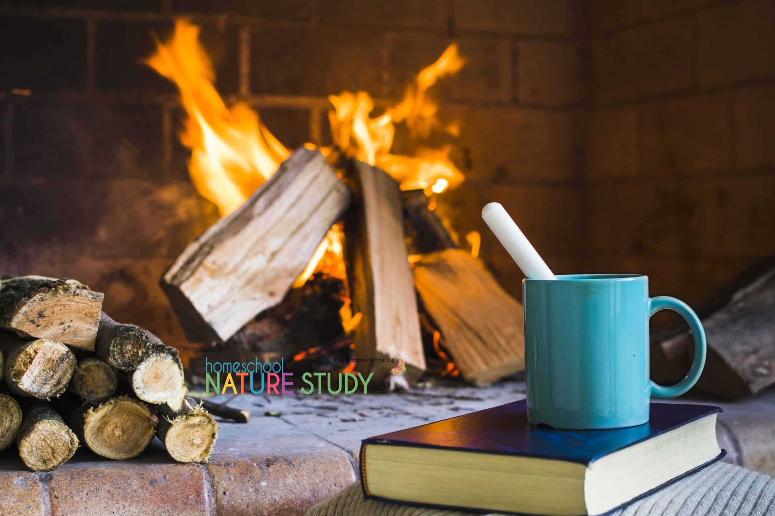 These are the best winter nature books for cozy homeschooling days. Includes winter nature study suggestions you can do through your window – or for a quick and refreshing outdoor time.