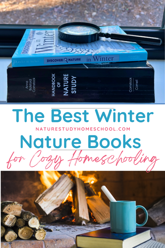 These are the best winter nature books for cozy homeschooling days. Includes winter nature study suggestions you can do through your window – or for a quick and refreshing outdoor time.