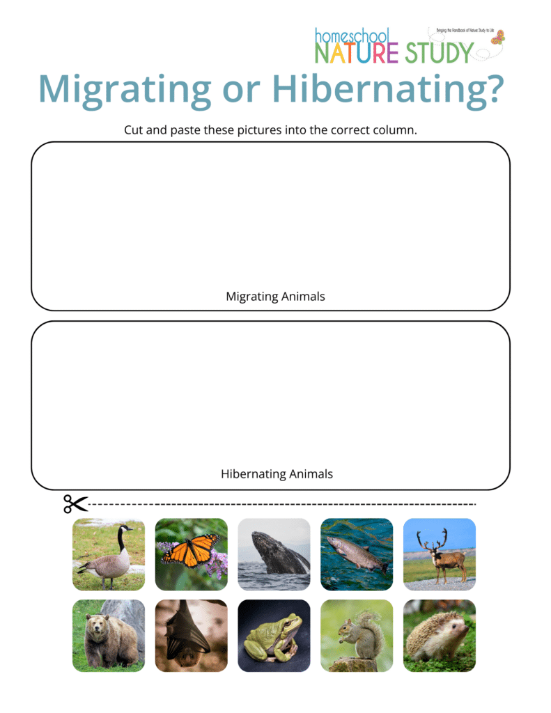 Migrating or hibernating printable in homeschool nature study membership