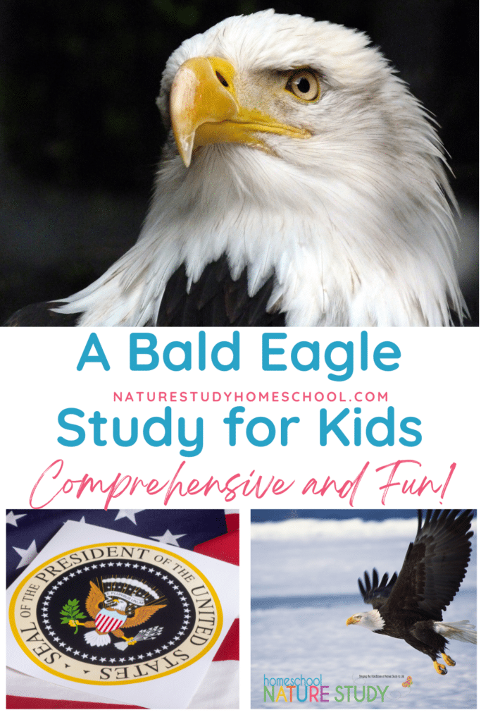 This bald eagle study for kids includes resources for observation, journaling, birds of prey facts and more.