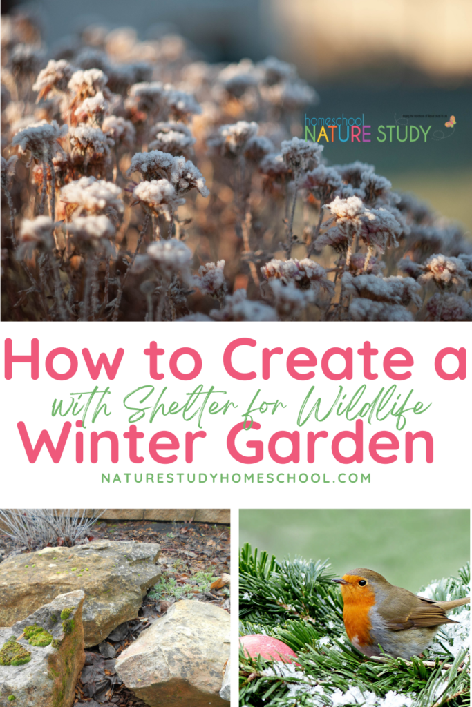 Here are a few of the ways we keep our yard as a wildlife habitat in winter. We have structured our garden to help encourage wildlife to visit all year long. Create a Winter Garden and add shelter for wildlife with these easy and effective resources and tips.