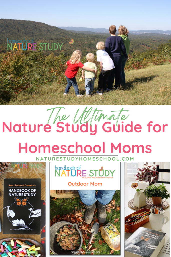 This ultimate nature study guide for homeschoolers might be just the nudge you need to get outdoors with your children!