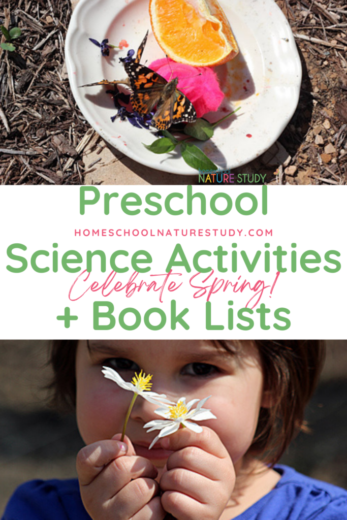 These spring preschool science activities will delight your youngest homeschoolers! Butterflies, flowers, ladybugs and more!