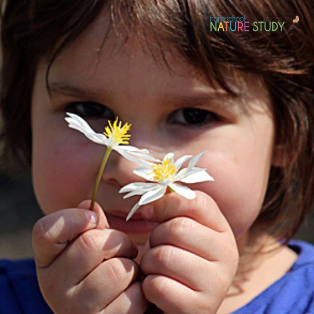 These spring preschool science activities will delight your youngest homeschoolers! Butterflies, flowers, ladybugs and more!