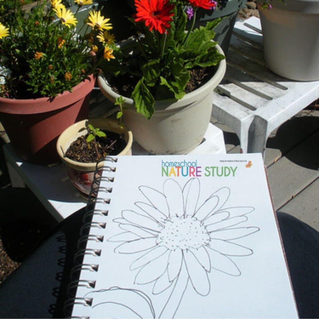 Watercolors For Outdoor Nature Journaling! These on the go tips will help you make the most of outdoor journaling - while hiking OR enjoying your backyard!