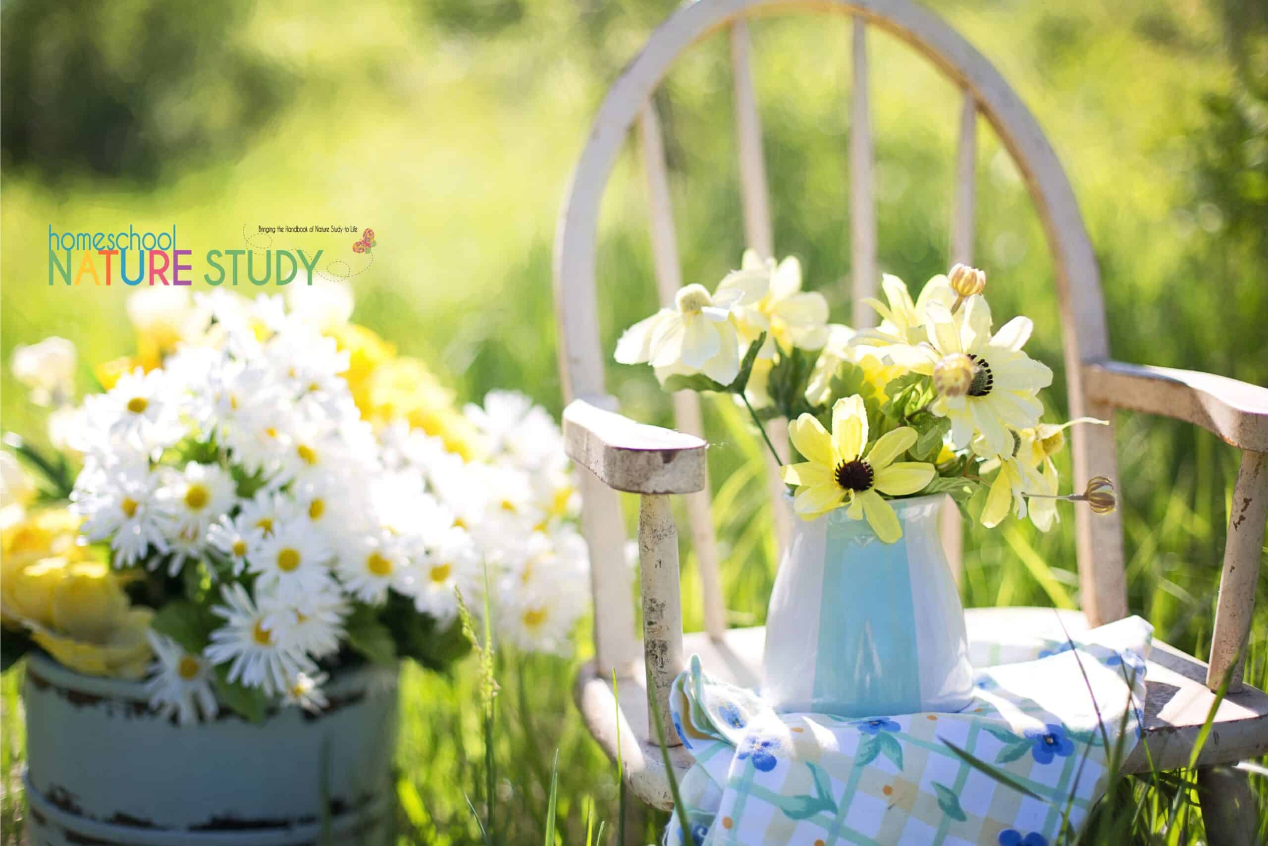 10 Fabulous First Day of Summer Nature Study Ideas perfect for weaving in some family time outside together. A valuable part of any summer bucket list!
