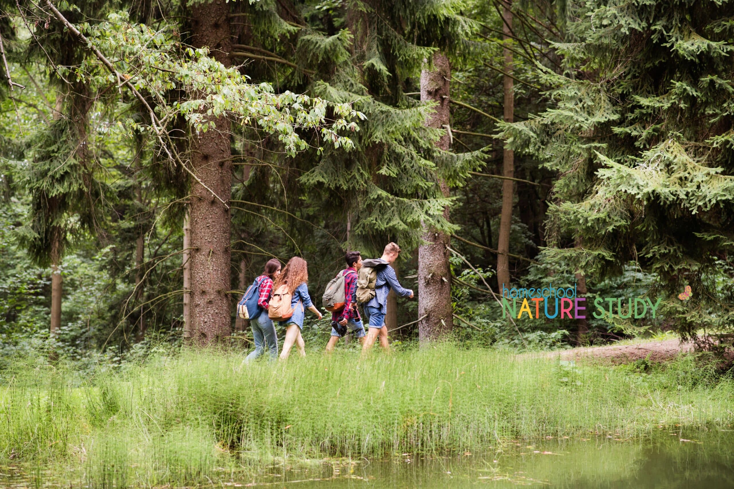 Nature study for teens can be just as engaging and educational, but it does require an age appropriate approach to learning.