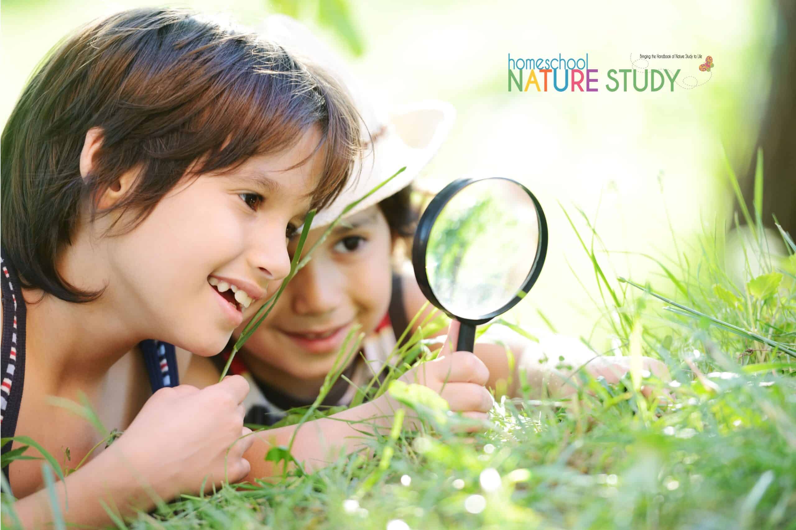 These citizen science projects transform routine outdoor time into purposeful scientific investigation. Perfect for homeschool learners.